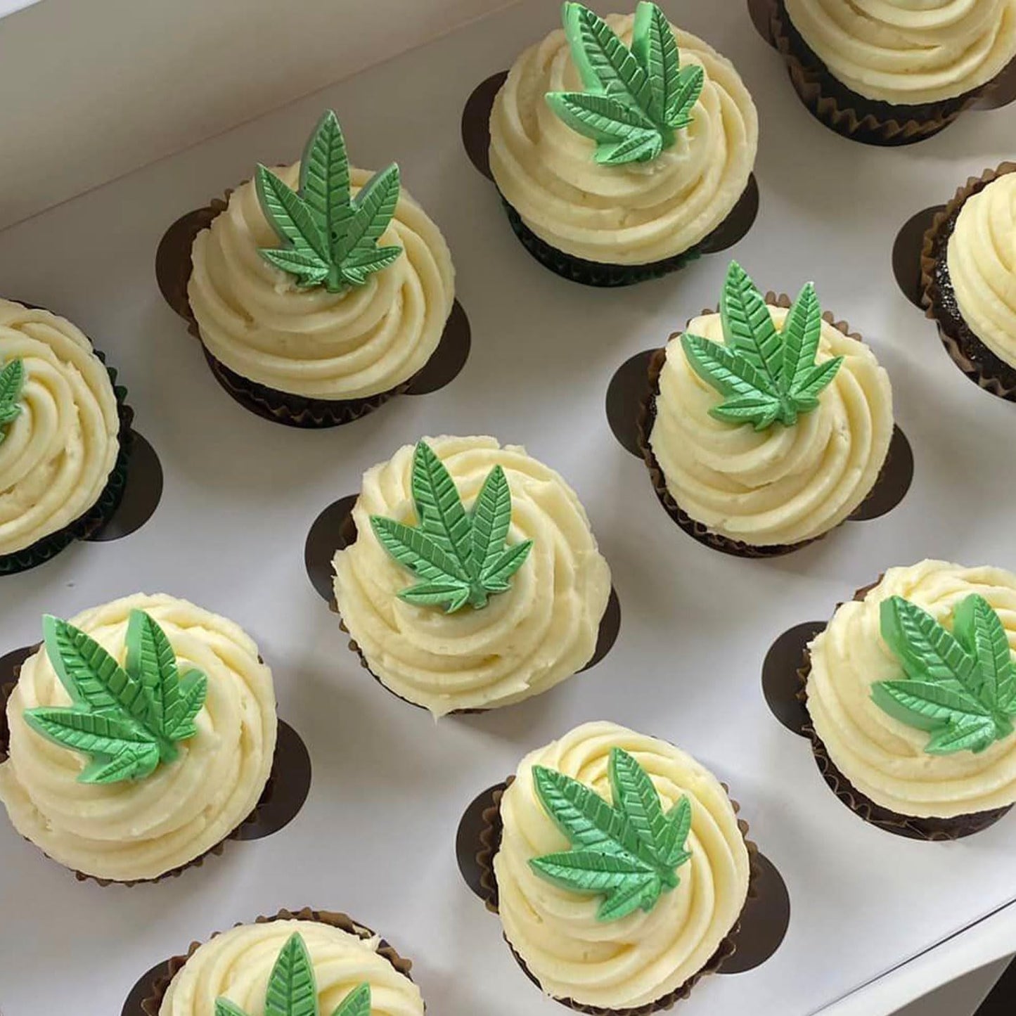 Weed Leaf Fondant Molds, Maple Leaf Silicone Molds, Plant Pot Leaves Cake Decorating Chocolate Tools for Baking Cupcake Topper Candy Cookie Dessert Clay Resin DIY Crafts Set of 2