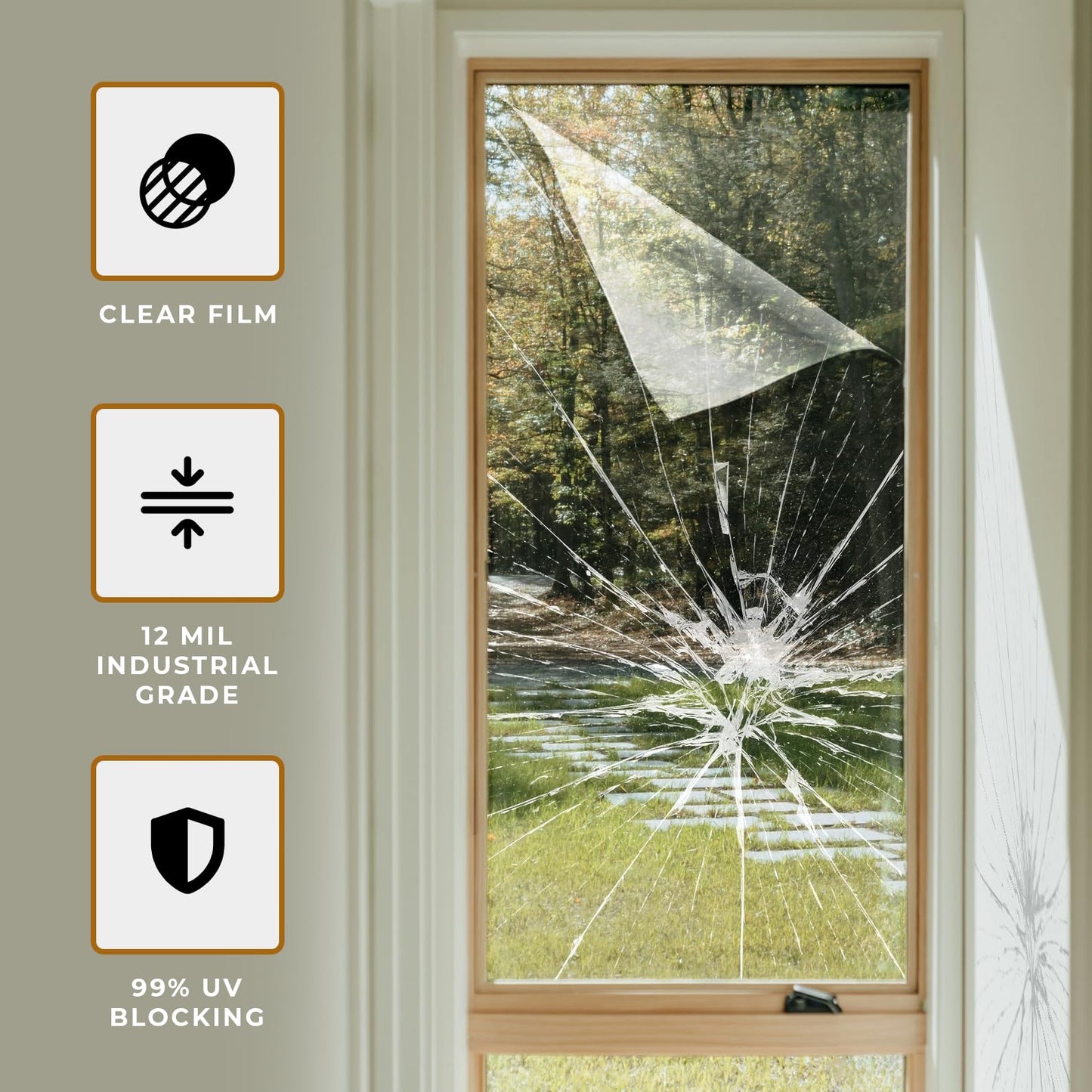 VViViD 12 Mil Clear Safety Window Film 30 Inch Wide x 10 ft Roll