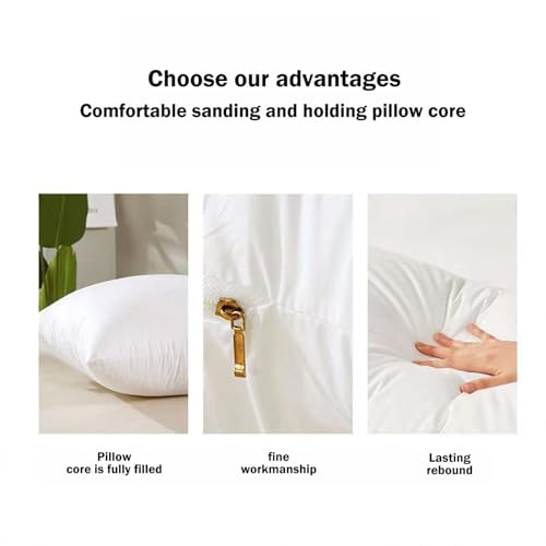 20x20 Inch Throw Pillow Inserts Set of 3 - Breathable Cotton Filled Decorative Couch Pillows for Sofa, Bed & Home Decor (3, 20x20in)