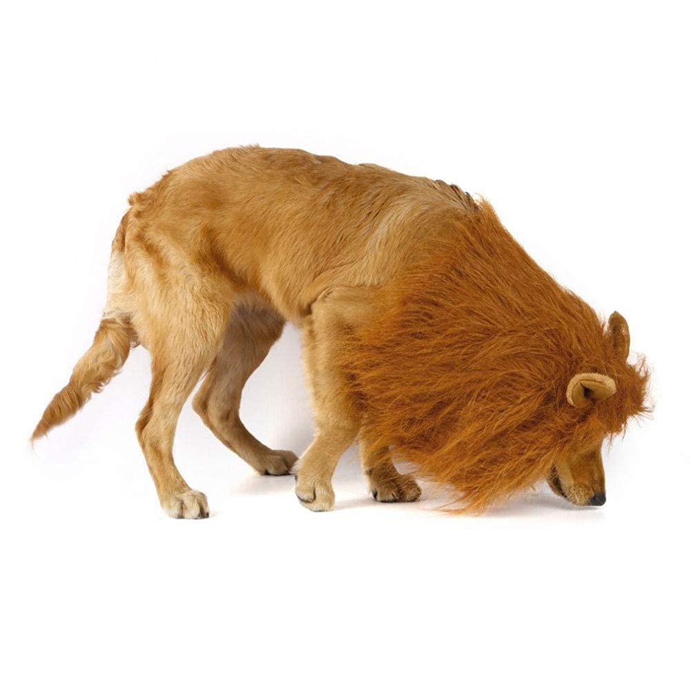 6MILES 1 Pcs Light Brown Adjustable Washable Comfortable Funny Lion Mane Wig with Ears for Dog and Cat Costume Pet Fancy Hair Clothes Dress, Large