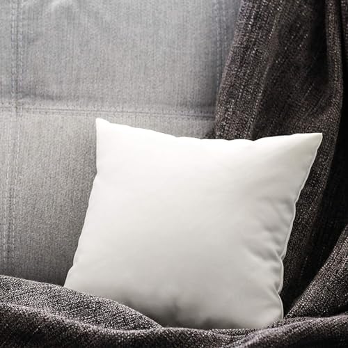 4 pcs Throw Pillow Inserts Pack of 4, Decorative Modern Cushion, White Pillow Inserts, Soft and Breathable, Non-Woven Pillow Insert, for Living Room Couch Bed Sofa, 19 x 19 in