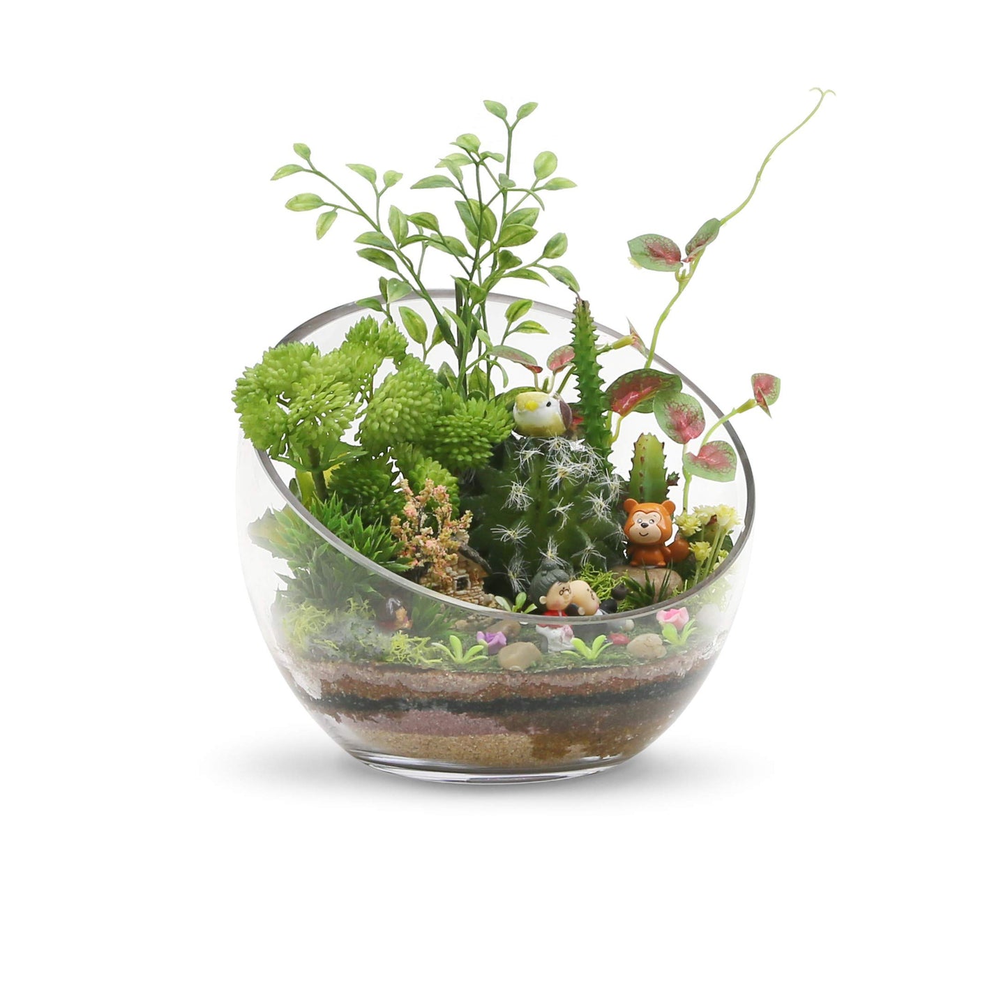 WGVI Clear Slant Cut Bowl Glass Vase, Glass Terrarium, Candy Dish, Glassware, Slant Open: 7". Height: 6" x 2.7". Base: 4" (1 Piece)