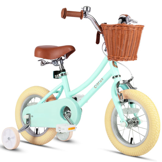 vollsch 14 Inch Little Kids Toddlers Bike for Age 7-15 Years Old Girls Retro Vintage Style Bicycles with Basket Training Wheels and Bell, Mint Green