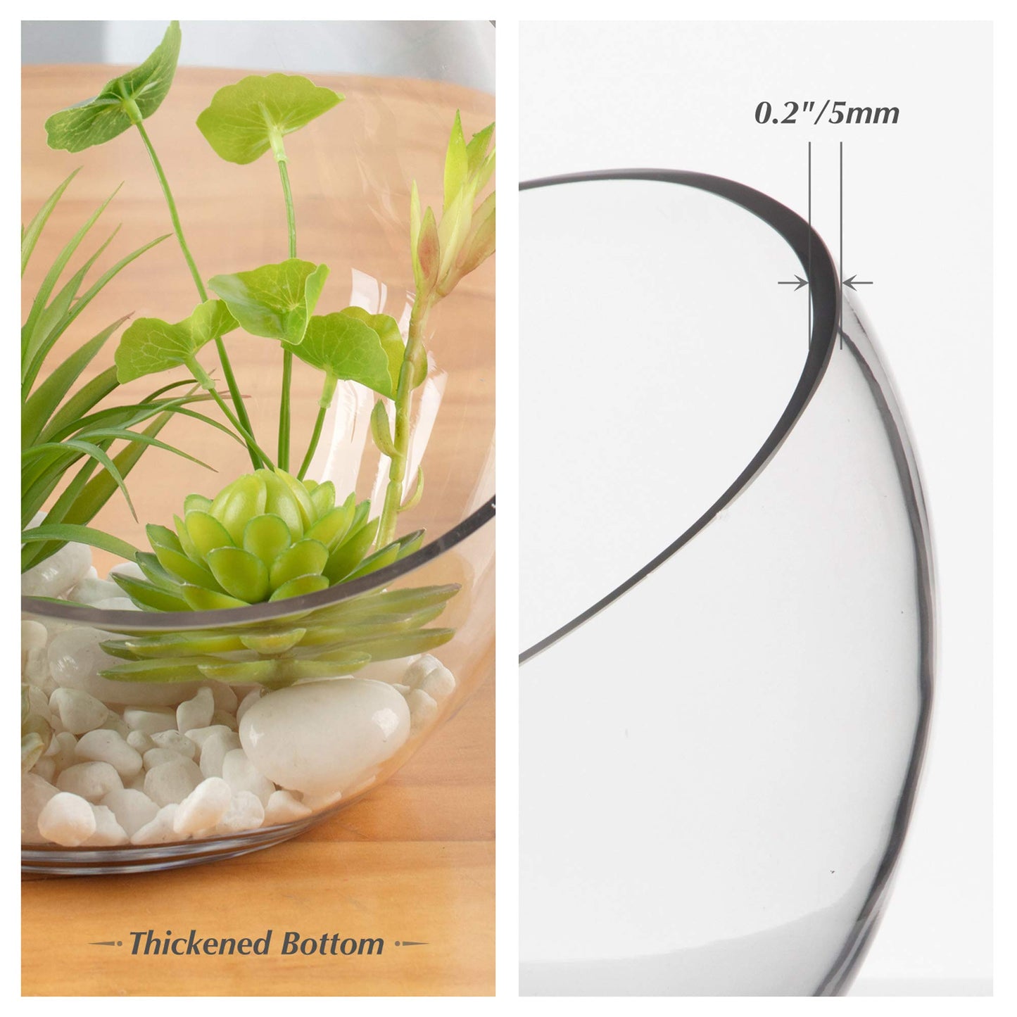 WGVI Clear Slant Cut Bowl Glass Vase, Glass Terrarium, Candy Dish, Glassware, Slant Open: 7". Height: 6" x 2.7". Base: 4" (1 Piece)